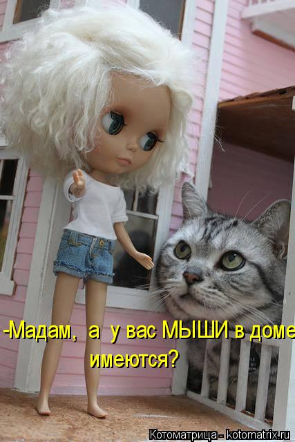 Котоматрица: -Мадам,  а  у вас МЫШИ в доме имеются?
