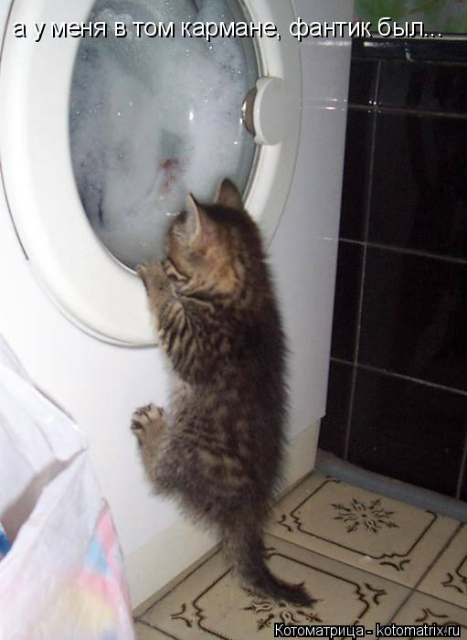 Котоматрица: а у меня в том кармане, фантик был...