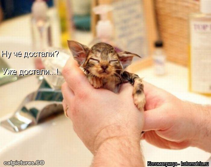 Котоматрица: Ну чё достали?                         Уже достали...!