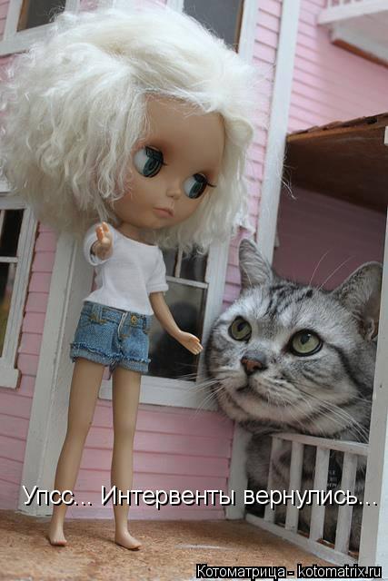 Котоматрица: Упсс... Интервенты вернулись...