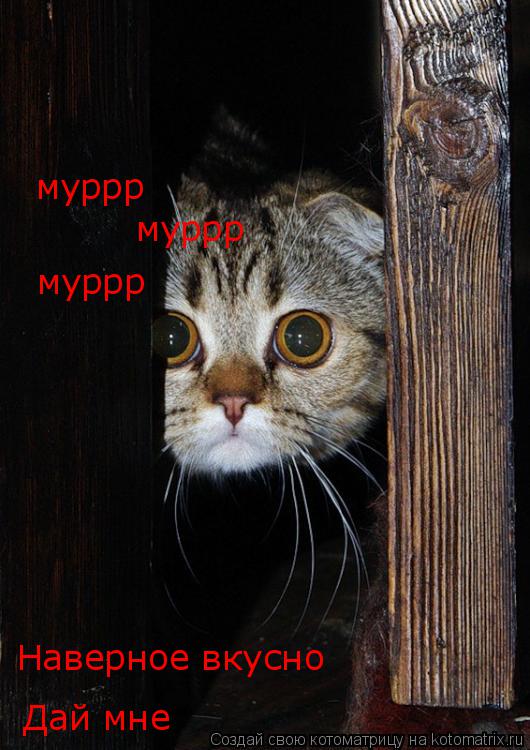 Котоматрица: муррр                                                 муррр                                                 муррр                                                 Дай мне    Наверное вкусно