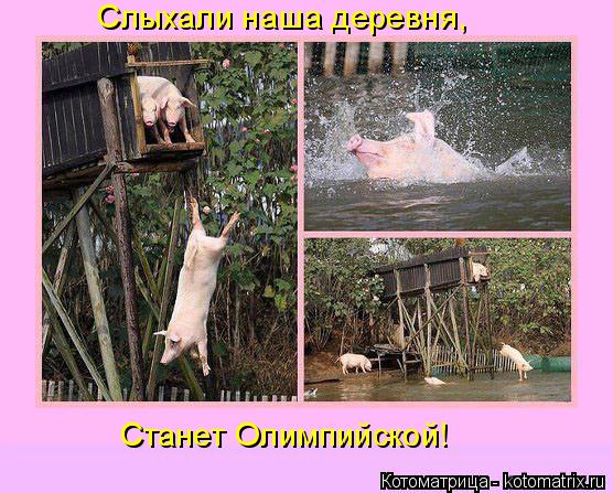Котоматрица: Слыхали наша деревня, Станет Олимпийской!