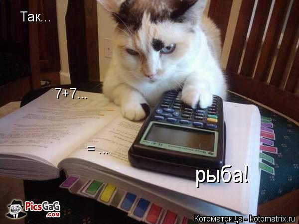 Котоматрица: Так... 7+7... = ... рыба!