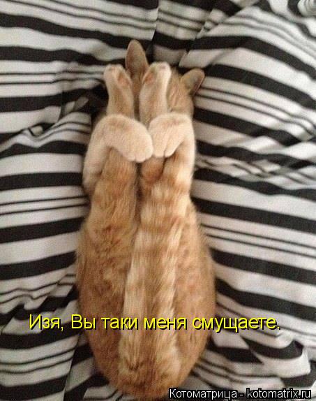 Котоматрица: Изя, Вы таки меня смущаете.