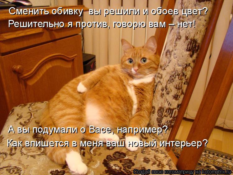 Котоматрица: Сменить обивку  вы решили и обоев цвет? Решительно я против, говорю вам – нет! А вы подумали о Васе, например? Как впишется в меня ваш новый ин
