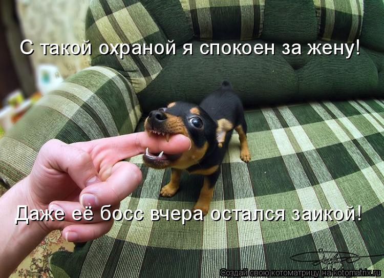 Котоматрица: С такой охраной я спокоен за жену! Даже её босс вчера остался заикой!