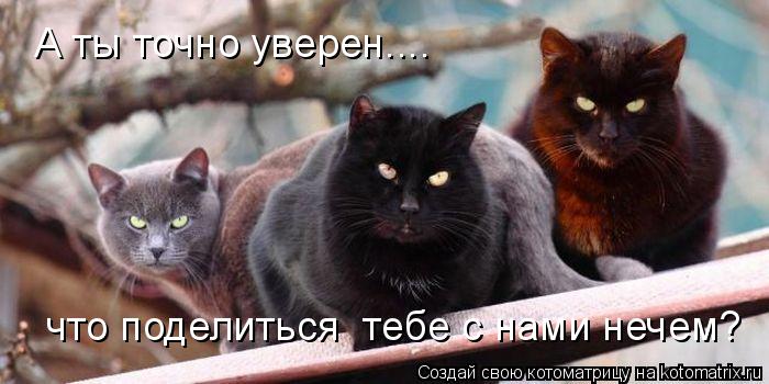 Котоматрица: А ты точно уверен.... что поделиться  тебе с нами нечем?