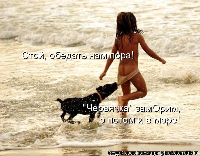 Котоматрица: Стой, обедать нам пора! "Червячка" замОрим,  о потом и в море!