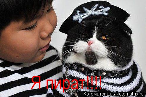 Котоматрица: Я пират!!!!
