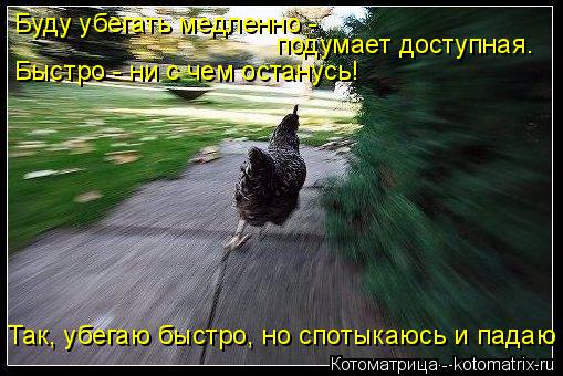 Котоматрица: Буду убегать медленно - подумает доступная. Быстро - ни с чем останусь! Так, убегаю быстро, но спотыкаюсь и падаю