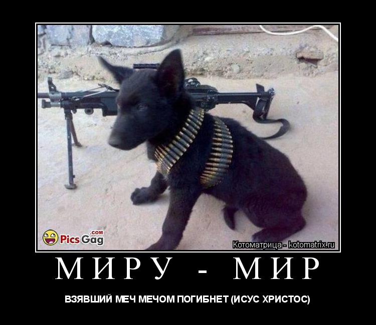 Котоматрица: МИРУ - МИР ВЗЯВШИЙ МЕЧ МЕЧОМ ПОГИБНЕТ (ИСУС ХРИСТОС)
