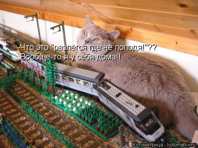 Котоматрица: -Что это "разлёгся где не поподя!"?? Вообще-то я у себя дома!!