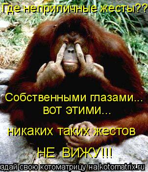 Котоматрица: Собственными глазами... вот этими...  НЕ  ВИЖУ!!! никаких таких жестов Где неприличные жесты??!!