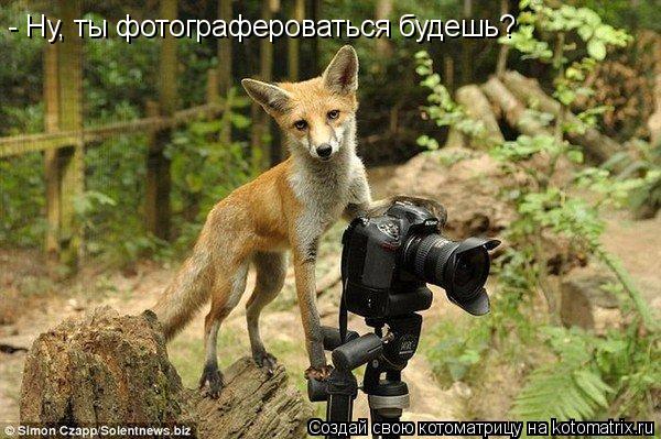 Котоматрица: - Ну, ты фотографероваться будешь?