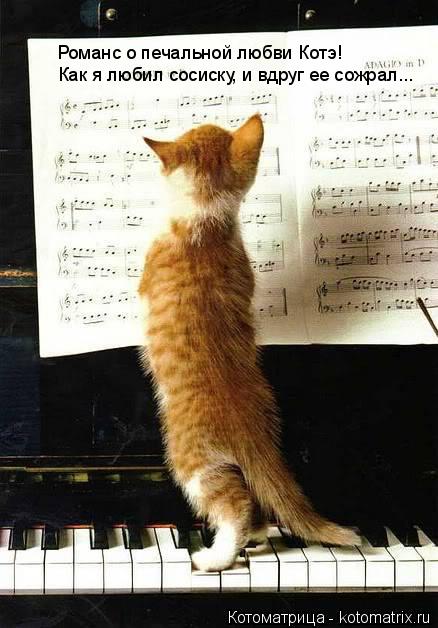Котоматрица: Романс о печальной любви Котэ! Как я любил сосиску, и вдруг ее сожрал...