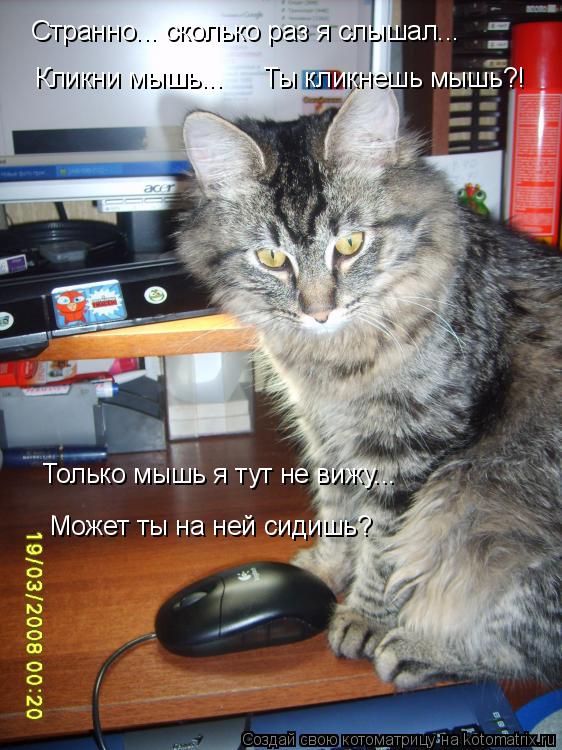 Странно... сколько раз я слышал... Кликни мышь... Только мышь я тут не вижу... Может ты на ней сидишь... Котоматрица: Странно... сколько раз я слышал... Кликни мышь... Только мышь я тут не вижу... Может ты на ней сидишь? Ты кликнешь мышь?!