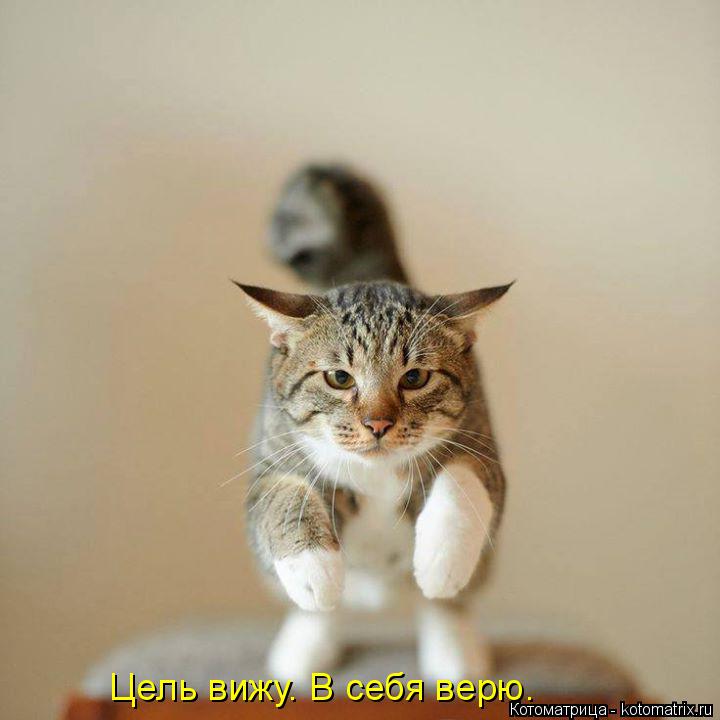 Котоматрица: Цель вижу. В себя верю.