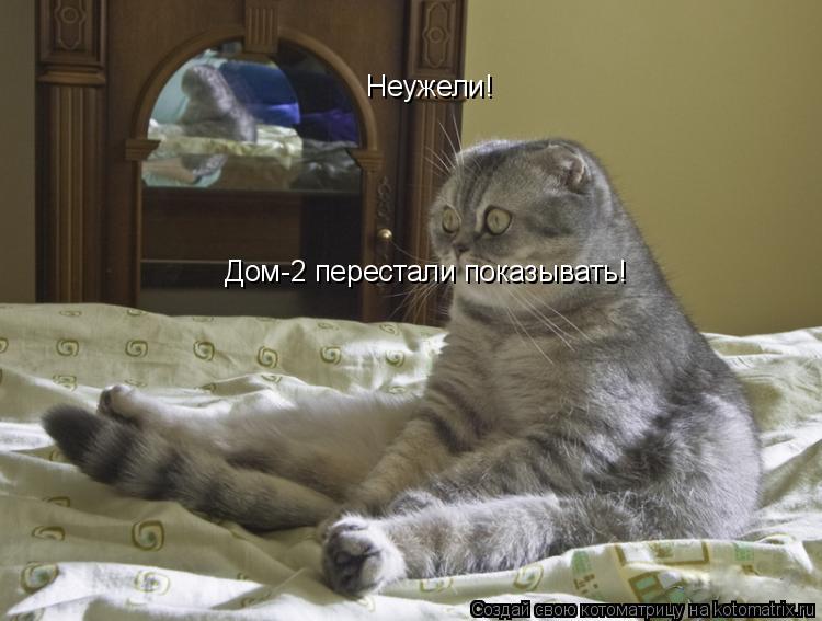 Котоматрица: Неужели! Дом-2 перестали показывать!
