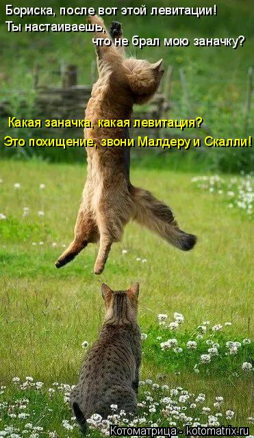 Котоматрица: Бориска, после вот этой левитации!  Ты настаиваешь,  что не брал мою заначку? Какая заначка, какая левитация? Это похищение, звони Малдеру и С