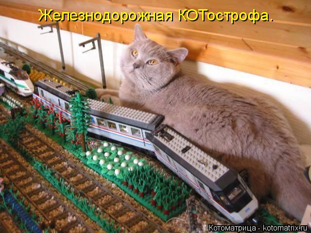 Котоматрица: Железнодорожная КОТострофа.