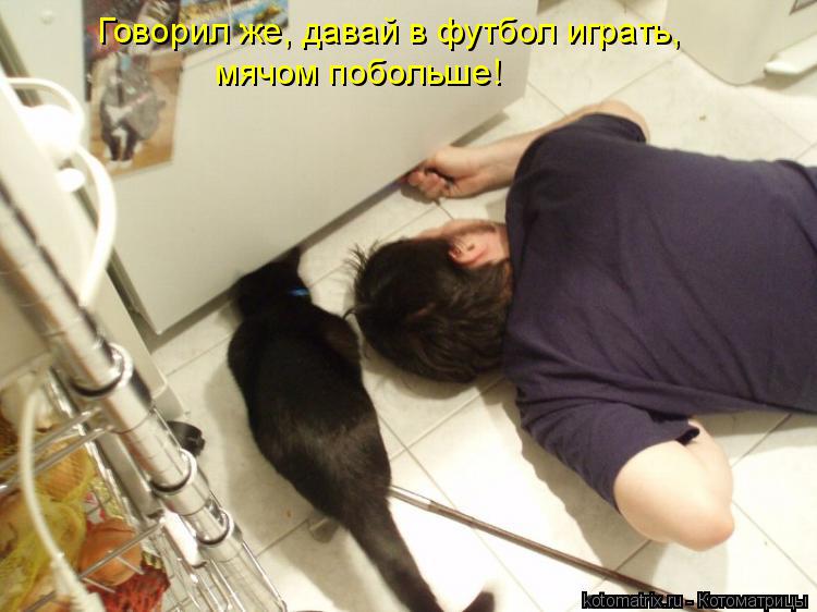 Котоматрица: Говорил же, давай в футбол играть, мячом побольше!
