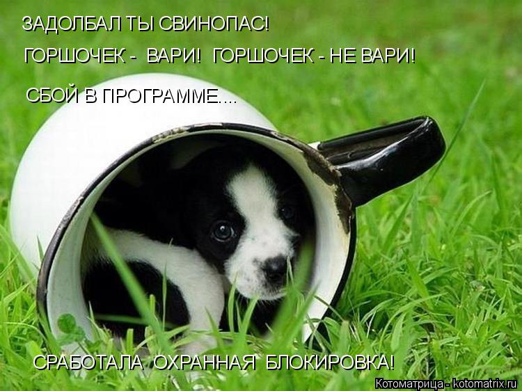 ЗАДОЛБАЛ ТЫ СВИНОПАС! ГОРШОЧЕК - ВАРИ! ГОРШОЧЕК - НЕ ВАРИ! СБОЙ В ПРОГРАММЕ.... СРАБОТАЛА ОХРАННАЯ... Котоматрица: ЗАДОЛБАЛ ТЫ СВИНОПАС! ГОРШОЧЕК - ВАРИ! ГОРШОЧЕК - НЕ ВАРИ! СБОЙ В ПРОГРАММЕ.... СРАБОТАЛА ОХРАННАЯ БЛОКИРОВКА!
