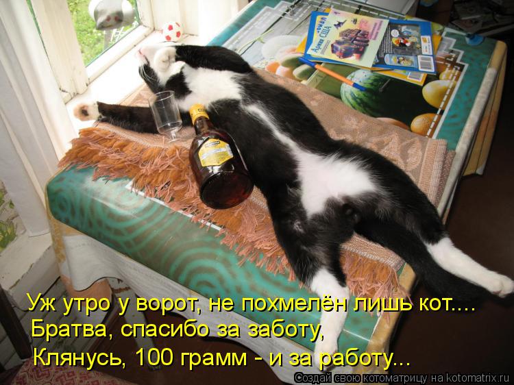Уж утро у ворот, не похмелён лишь кот.... Братва, спасибо за заботу, Клянусь, 100 грамм - и за работу... Котоматрица: Уж утро у ворот, не похмелён лишь кот.... Братва, спасибо за заботу, Клянусь, 100 грамм - и за работу...
