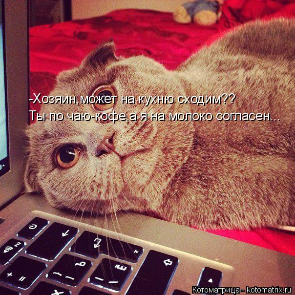 Котоматрица: -Хозяин,может на кухню сходим?? Ты по чаю-кофе,а я на молоко согласен...