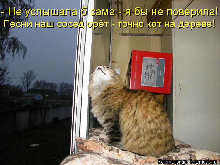 - Не услышала б сама - я бы не поверила! Песни наш сосед орёт - точно кот на дереве!... Котоматрица: - Не услышала б сама - я бы не поверила! Песни наш сосед орёт - точно кот на дереве!