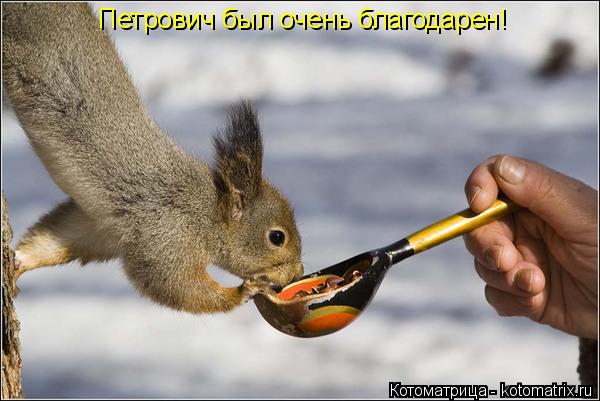 Петрович был очень благодарен!... Котоматрица: Петрович был очень благодарен!