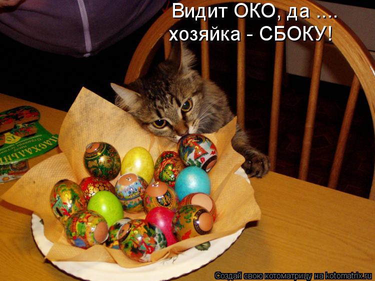 Видит ОКО, да .... хозяйка - СБОКУ!... Котоматрица: Видит ОКО, да .... хозяйка - СБОКУ!