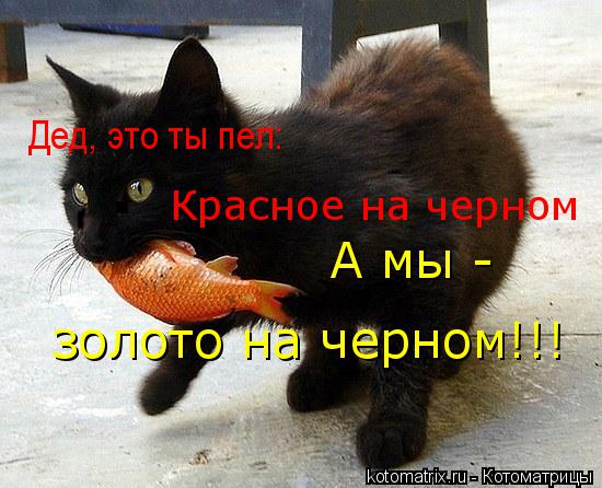 Дед, это ты пел: Красное на черном А мы - золото на черном!!!... Котоматрица: Дед, это ты пел: Красное на черном А мы - золото на черном!!!