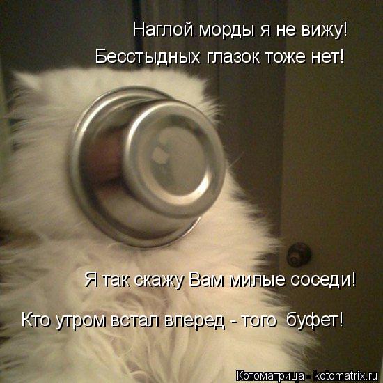 Котоматрица: Наглой морды я не вижу! Бесстыдных глазок тоже нет! Я так скажу Вам милые соседи! Кто утром встал вперед - того  буфет!