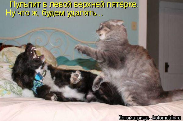 Котоматрица: Пульпит в левой верхней пятёрке. Ну что ж, будем удалять...