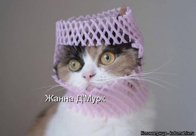 Жанна Д'Мурк... Котоматрица: Жанна Д'Мурк