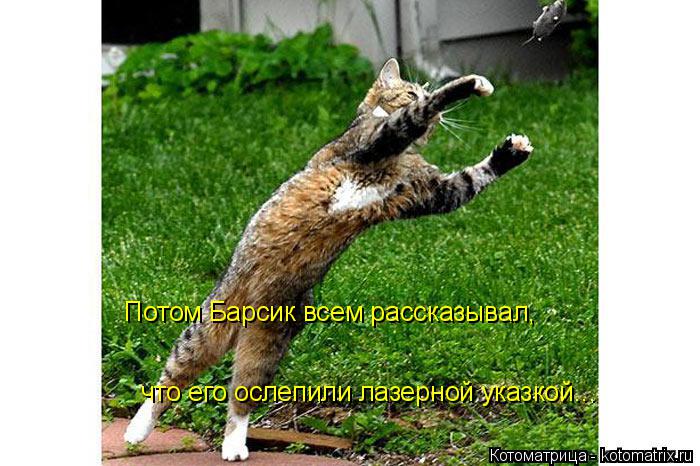 что его ослепили лазерной указкой... Потом Барсик всем рассказывал,... Котоматрица: что его ослепили лазерной указкой... Потом Барсик всем рассказывал,