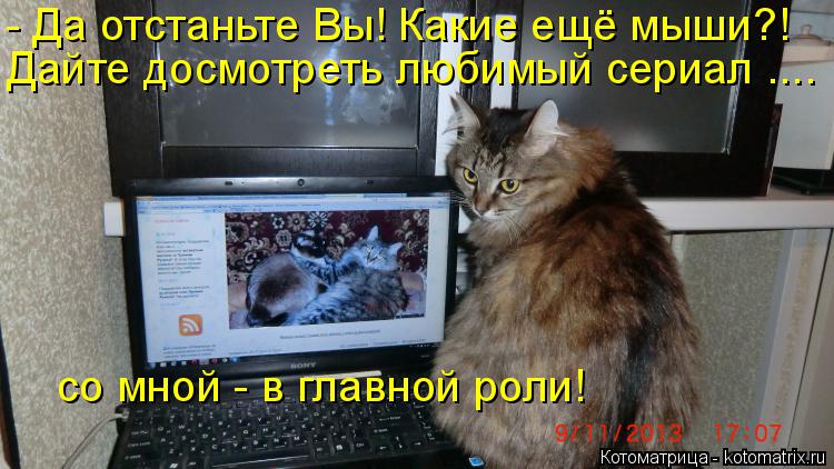 Котоматрица: - Да отстаньте Вы! Какие ещё мыши?! Дайте досмотреть любимый сериал .... со мной - в главной роли!