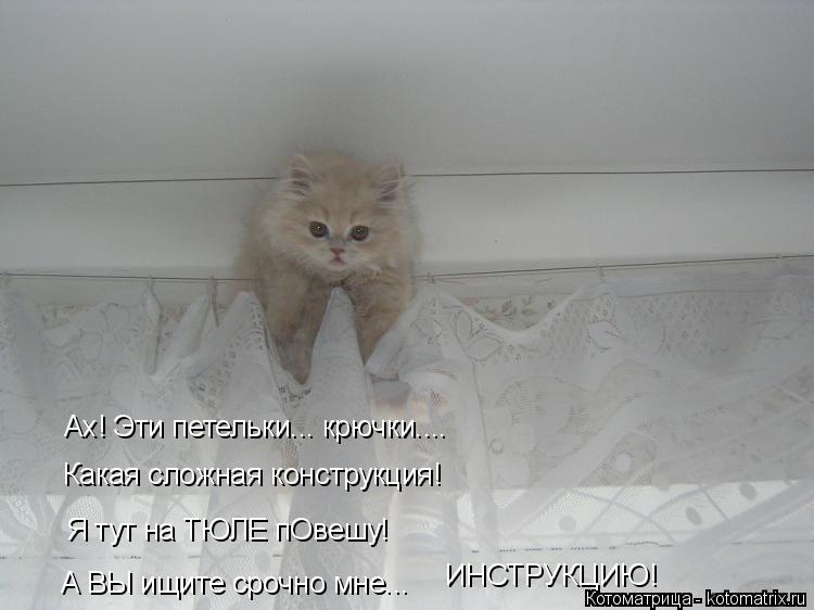 Ах! Эти петельки... крючки.... Какая сложная конструкция! Я тут на ТЮЛЕ пОвешу! А ВЫ ищите срочно мне... Котоматрица: Ах! Эти петельки... крючки.... Какая сложная конструкция! Я тут на ТЮЛЕ пОвешу! А ВЫ ищите срочно мне... ИНСТРУКЦИЮ!