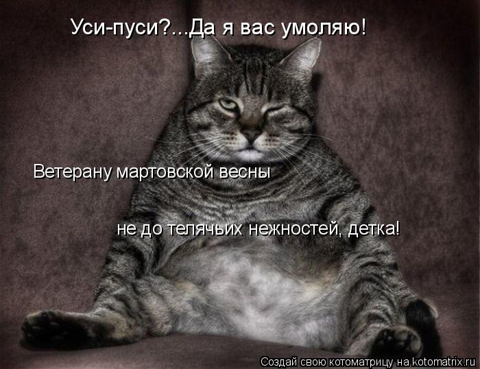 Уси-пуси?...Да я вас умоляю! не до телячьих нежностей, детка! Ветерану мартовской весны... Котоматрица: Уси-пуси?...Да я вас умоляю! не до телячьих нежностей, детка! Ветерану мартовской весны