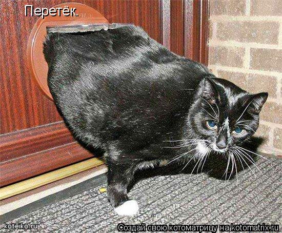 Перетёк.... Котоматрица: Перетёк.