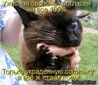 Ужасная сволочь , согласен на все 100% Только украденную сосиську я всё ж - таки доем!... Котоматрица: Ужасная сволочь , согласен на все 100% Только украденную сосиську я всё ж - таки доем!