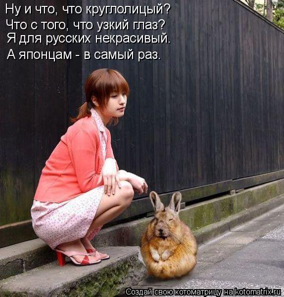 Ну и что, что круглолицый? Что с того, что узкий глаз? Я для русских некрасивый. А японцам - в самый ... Котоматрица: Ну и что, что круглолицый? Что с того, что узкий глаз? Я для русских некрасивый. А японцам - в самый раз.