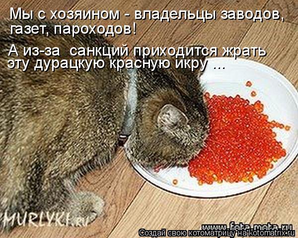 эту дурацкую красную икру ... Мы с хозяином - владельцы заводов, газет, пароходов! А из-за санкций ... Котоматрица: эту дурацкую красную икру ... Мы с хозяином - владельцы заводов, газет, пароходов! А из-за санкций приходится жрать