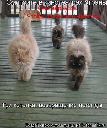 Смотрите в кинотеатрах страны Они вернутся, Чтобы закончить начатое Три котенка: возвращение легенды... Котоматрица: Смотрите в кинотеатрах страны Они вернутся, Чтобы закончить начатое Три котенка: возвращение легенды