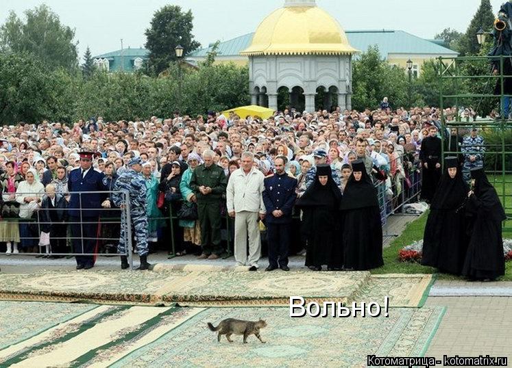 Вольно!... Котоматрица: Вольно!