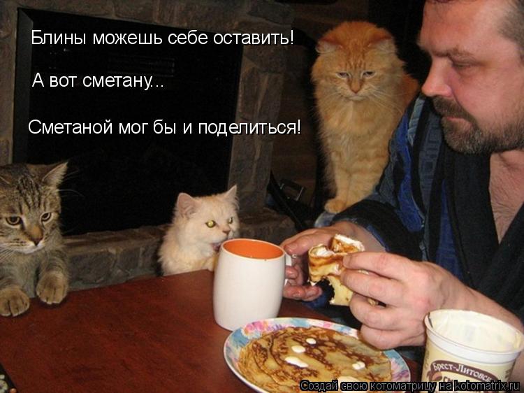 Блины можешь себе оставить! А вот сметану... Сметаной мог бы и поделиться!... Котоматрица: Блины можешь себе оставить! А вот сметану... Сметаной мог бы и поделиться!