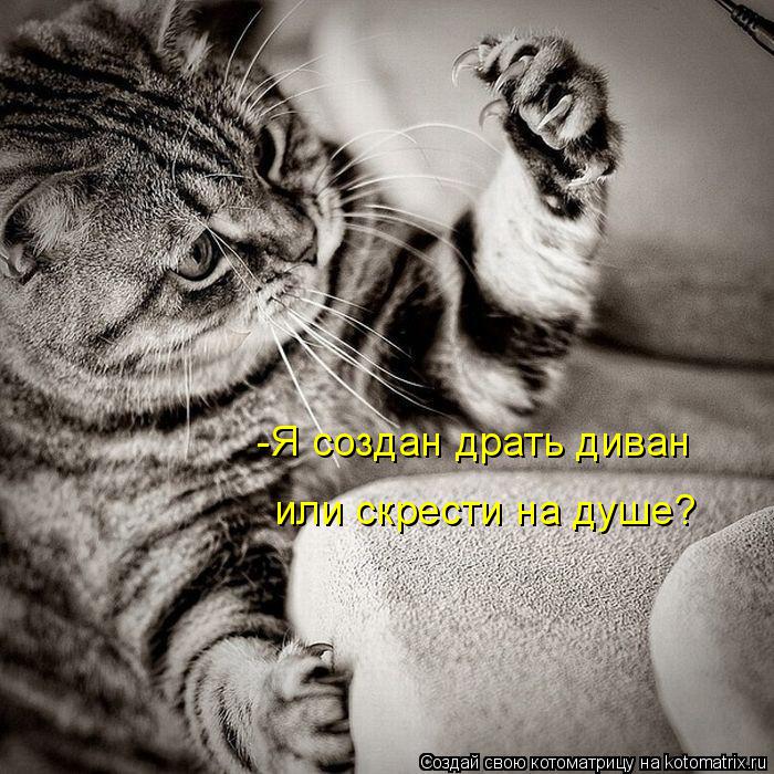 -Я создан драть диван или скрести на душе?... Котоматрица: -Я создан драть диван или скрести на душе?
