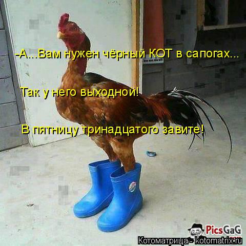 -А...Вам нужен чёрный КОТ в сапогах... Так у него выходной! В пятницу тринадцатого завите!... Котоматрица: -А...Вам нужен чёрный КОТ в сапогах... Так у него выходной! В пятницу тринадцатого завите!
