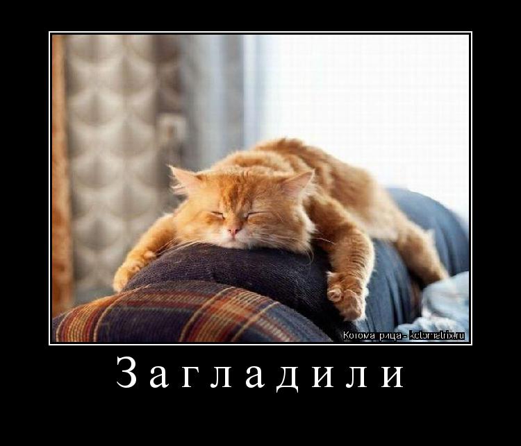 Загладили ... Котоматрица: Загладили