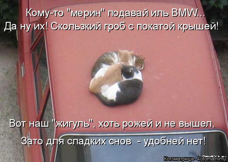 Кому-то "мерин" подавай иль BMW... Да ну их! Скользкий гроб с покатой крышей! Вот наш "жигуль", хоть ... Котоматрица: Кому-то "мерин" подавай иль BMW... Да ну их! Скользкий гроб с покатой крышей! Вот наш "жигуль", хоть рожей и не вышел, Зато для сладких снов - удобн